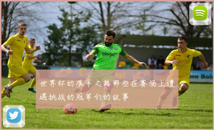 世界杯的艰辛之路那些在赛场上遭遇挑战的冠军们的故事